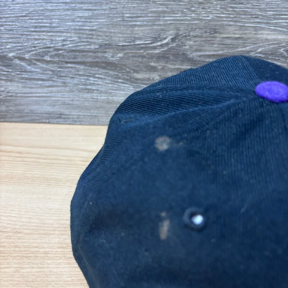 Vintage Tampa Bay Devil Rays Hat Snap Back Black MLB Baseball Sports Specialties